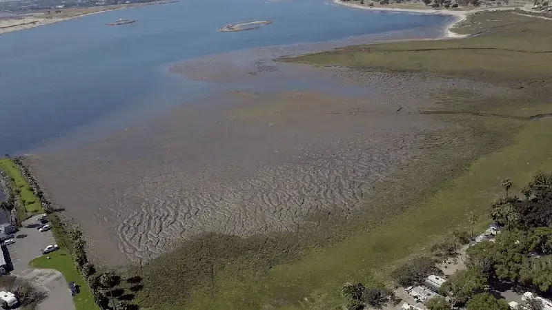 Aerial view of Kendall-Frost Marsh Reserve
